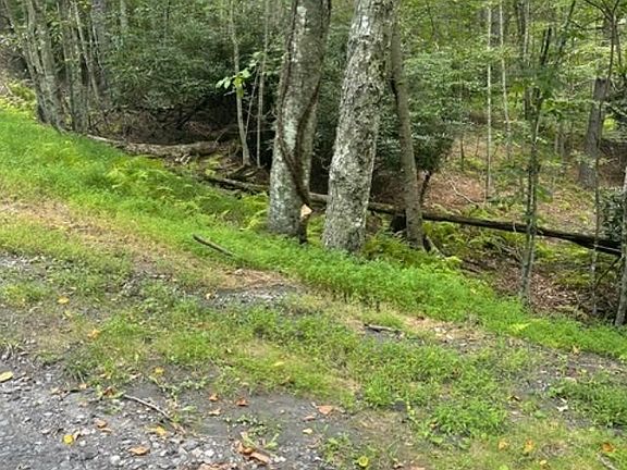 3rd image of TBD LOT 23 Country Ridge Road
