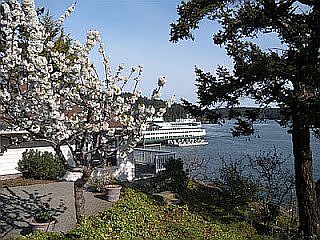 View on a beautiful spring day