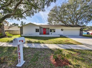 17901 Rivendel Rd, Lutz, FL 33549