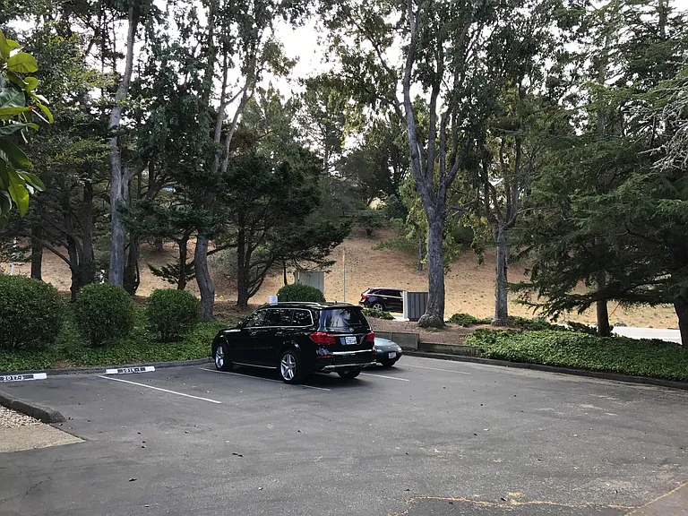 2019 Parrott Dr #7 — Photo 14