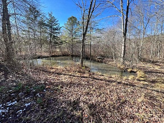 5th image of 98 Mulberry Ln