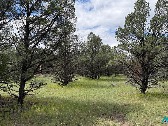 4th image of 85 Largo Canyon Loop #3