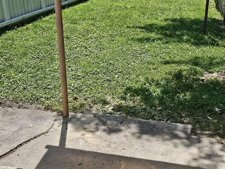 244 Cedar St — Photo 1