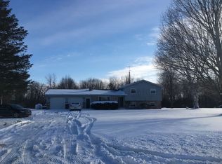 8125 Hall Rd, Bellevue, MI 49021