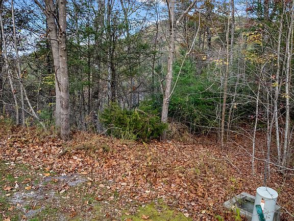 3rd image of 4416 Whetstone Rd