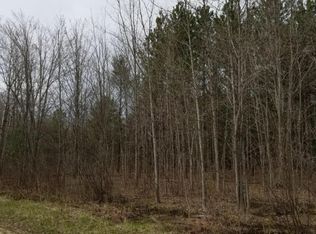 Creamery Rd, Kaleva, MI 49645