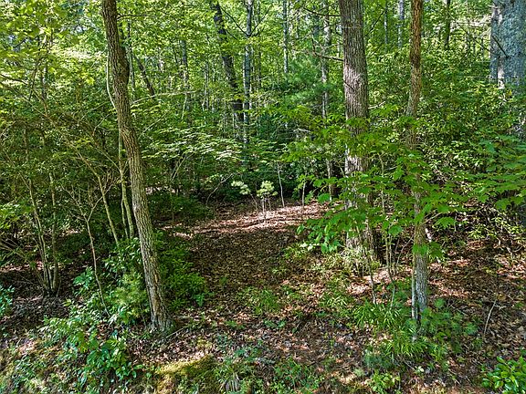 5th image of Ritchie Creek Rd