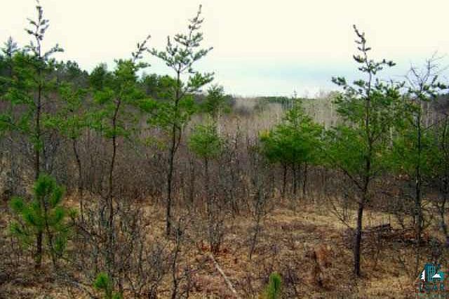 2nd image of Lot 11 Eagle Heights Rd