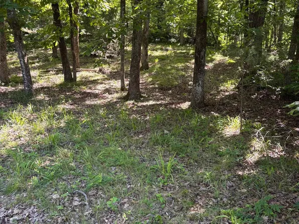 N Crystal Springs Rd, Royal, AR 71968