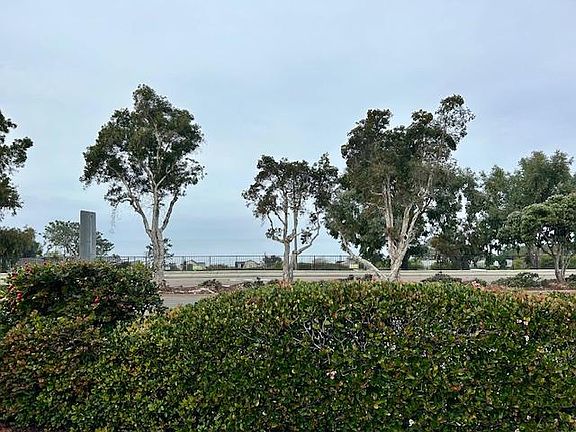 Standing Ocean view from backyard patio