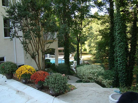 View to backyard