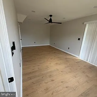 100 Sand Dollar Cv — Photo 26