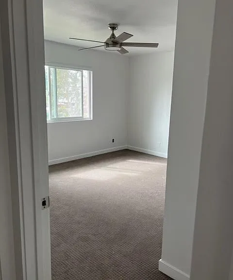 141 Holly Ave — Photo 18