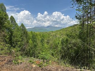 460 Whiteside Gap Rd, Robbinsville, NC 28771