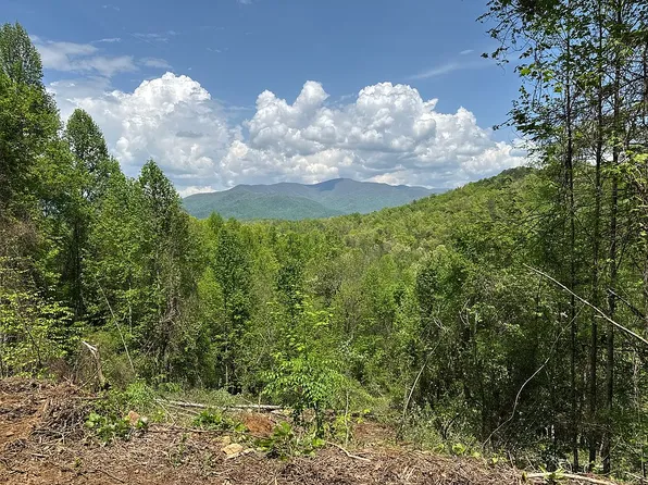460 Whiteside Gap Rd, Robbinsville, NC 28771