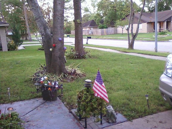 very simple and clean