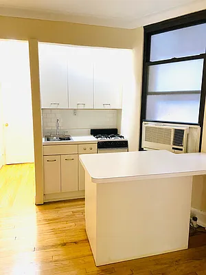 Rented by Manhattan Flats | media 17