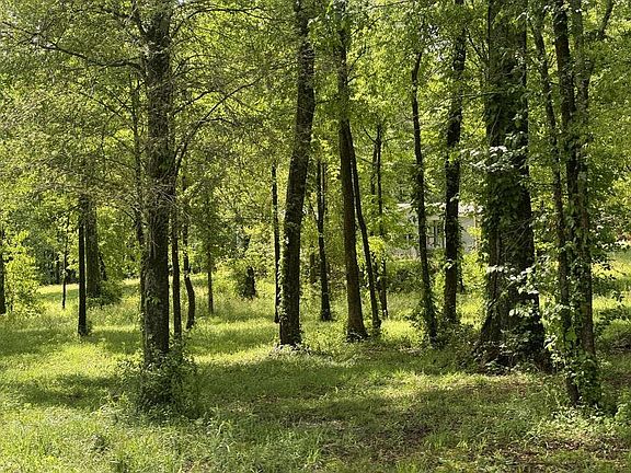 3rd image of 2278 County Road 95