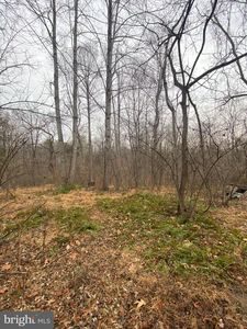 0 Settle School Rd, Rixeyville, VA, 22737