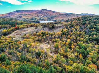 22 Blueberry Ridge Rd, Sunapee, NH 03782