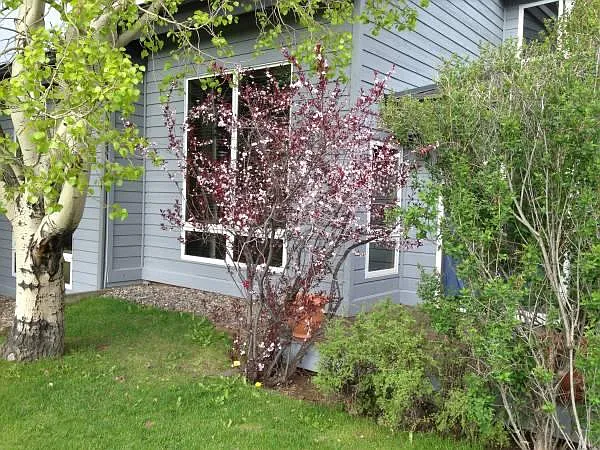 570 Homestead Dr — Photo 5