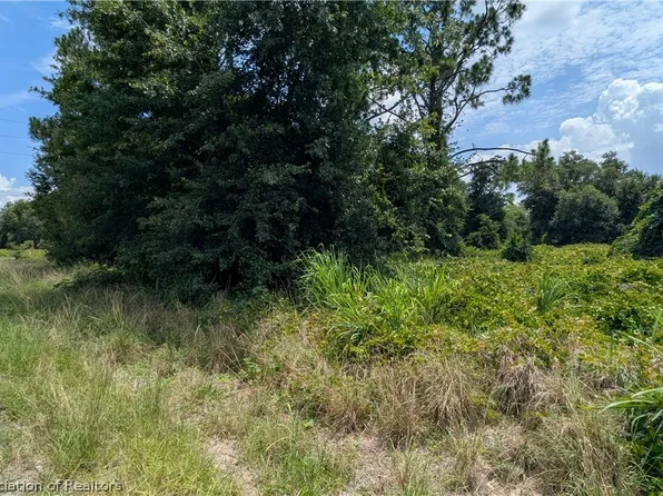 102 Wyckoff Ave NE, Lake Placid, FL 33852