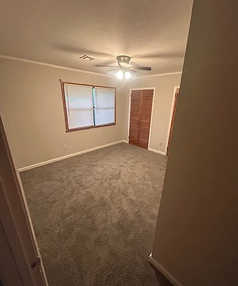 431 Spring Valley Rd — Photo 8