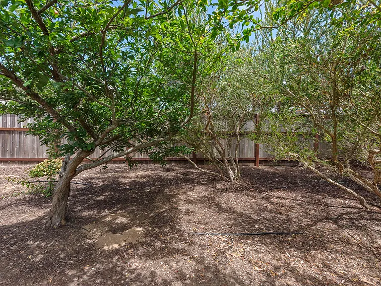 13981 Mercado Dr — Photo 39