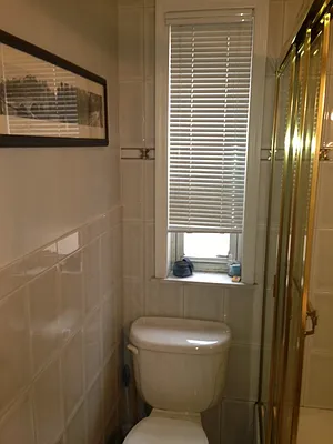 Rented by Punia & Marx Inc. | media 13