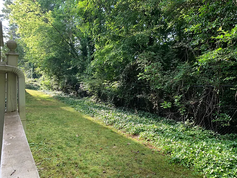 Backyard (Downstairs)