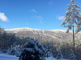 380 Fox Ln #B4, Ludlow, VT 05149