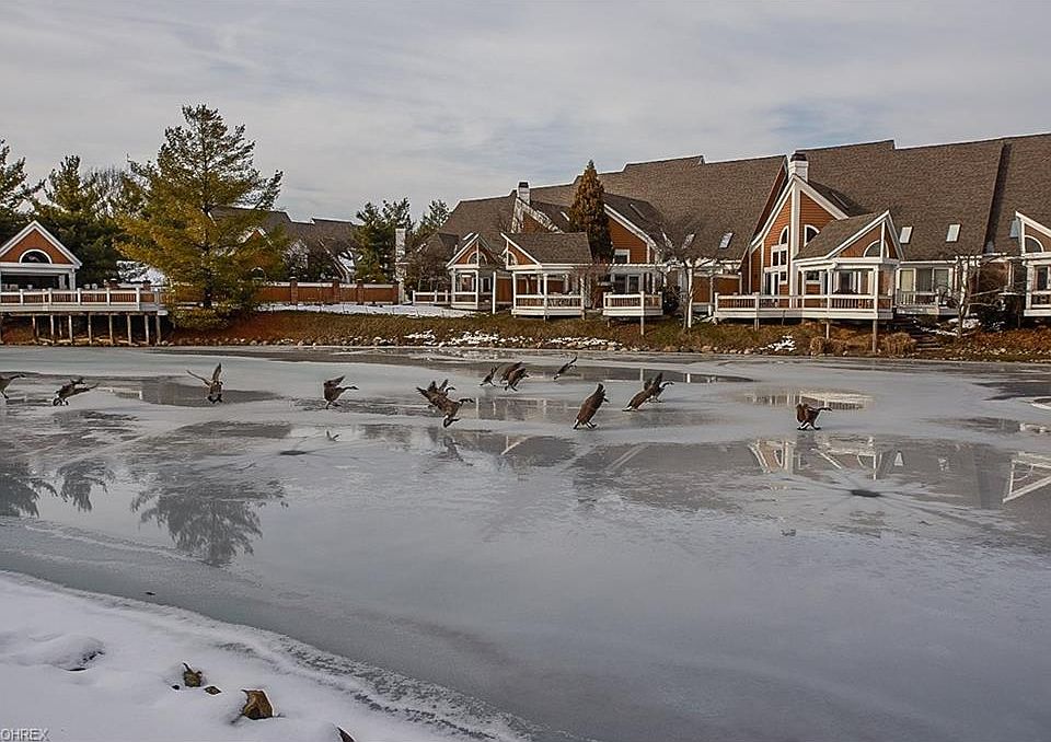 1st image of 3646 Sparrow Pond Cir