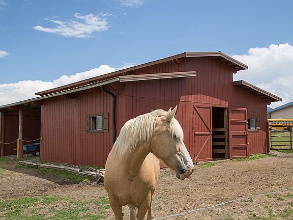 2 Box Stalls, Hay Storage