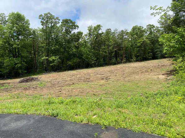 0 Star Way, Chatsworth, GA 30705