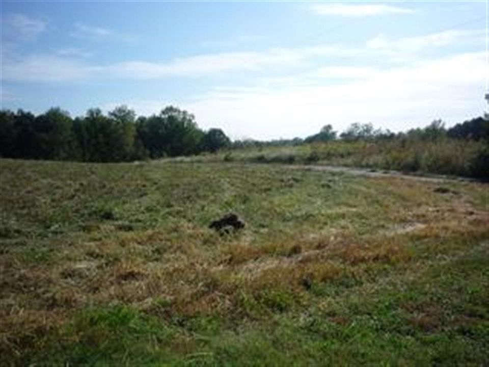 2nd image of 369 Right Prong Rd
