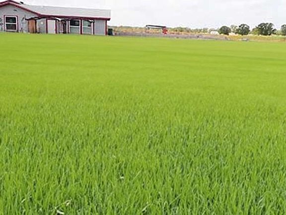 3rd image of 142 Zimmerhanzel Rd