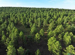 0 Forest Rd #157, Bluewater, NM 87005