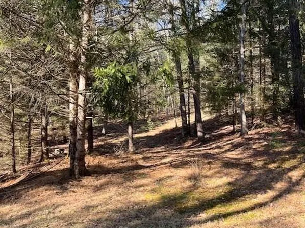 432C Black Forest Road, Glen Spey, NY 12737