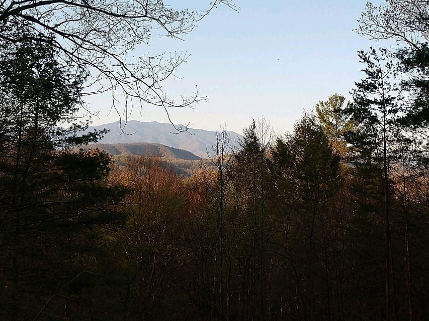 2nd image of 0 Tall Oak Way