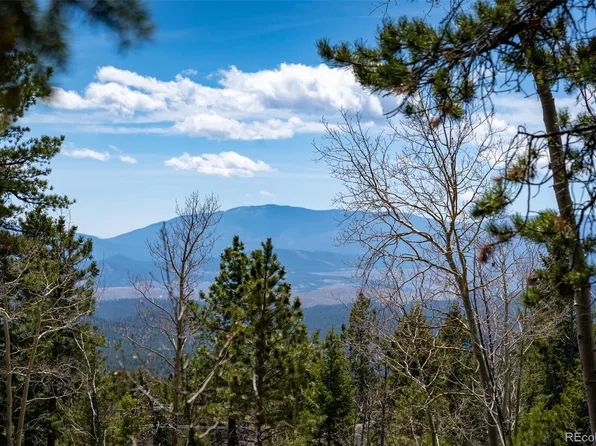 31151 Pike View Dr, Conifer, CO 80433