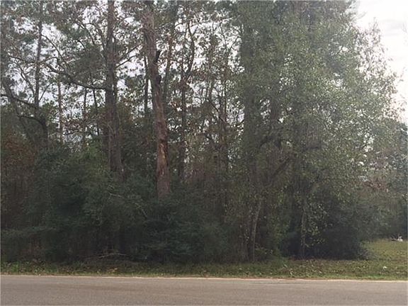3rd image of Big Deer Dr