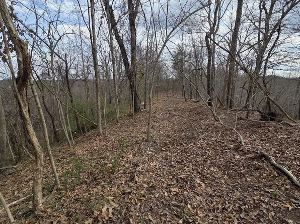 Map 105 80 0 39.00 D St, Louisa, KY 41230