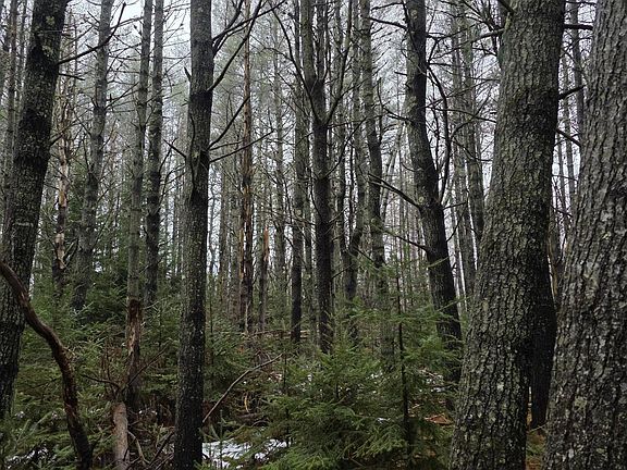 4th image of 00 Harriman Road