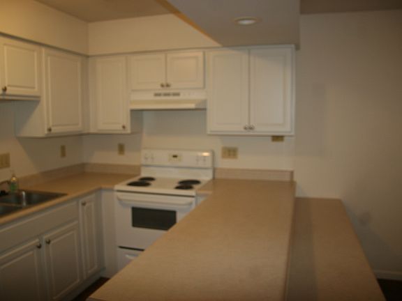 3rd image of 324 W Lutz Ave APT 8