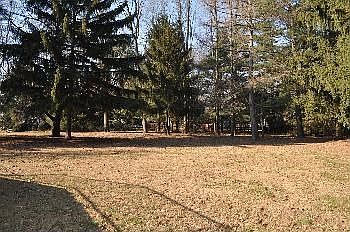 2nd image of 1021 W King Rd Lot A
