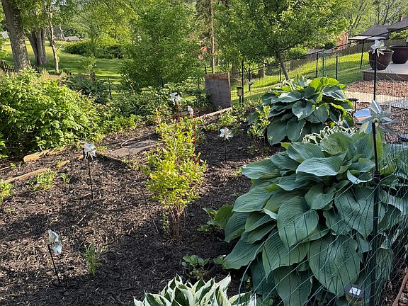 Fruit garden: blueberries, strawberries, blackberries, and raspberries. Along with two apple trees.