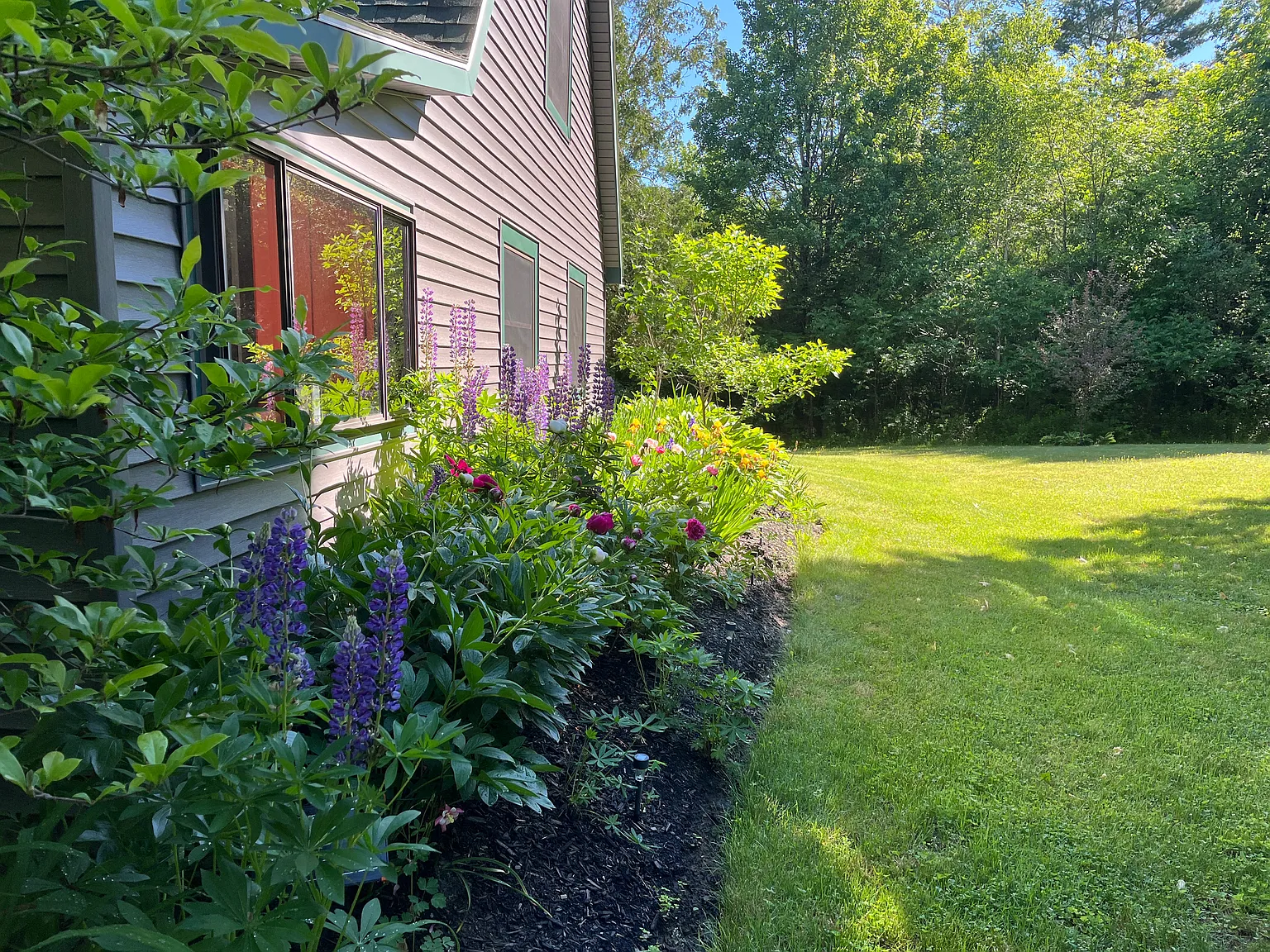 2 bed, 1.5 bath, 900 sqft, $2,450 — Photo 2