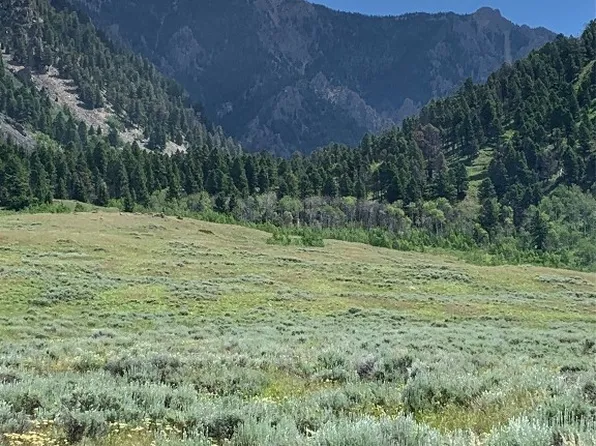 Tbd Slide Rock Rd, Cameron, MT 59720