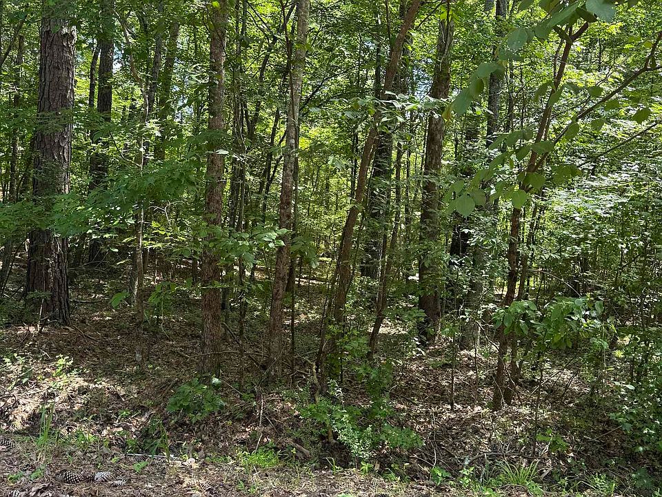 1st image of 8596 Woodview Ln Lot 1