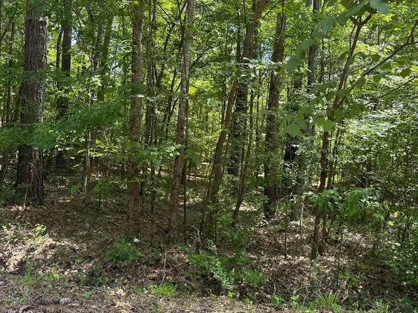 8596 Woodview Ln Lot 1, Pinson, AL 35126